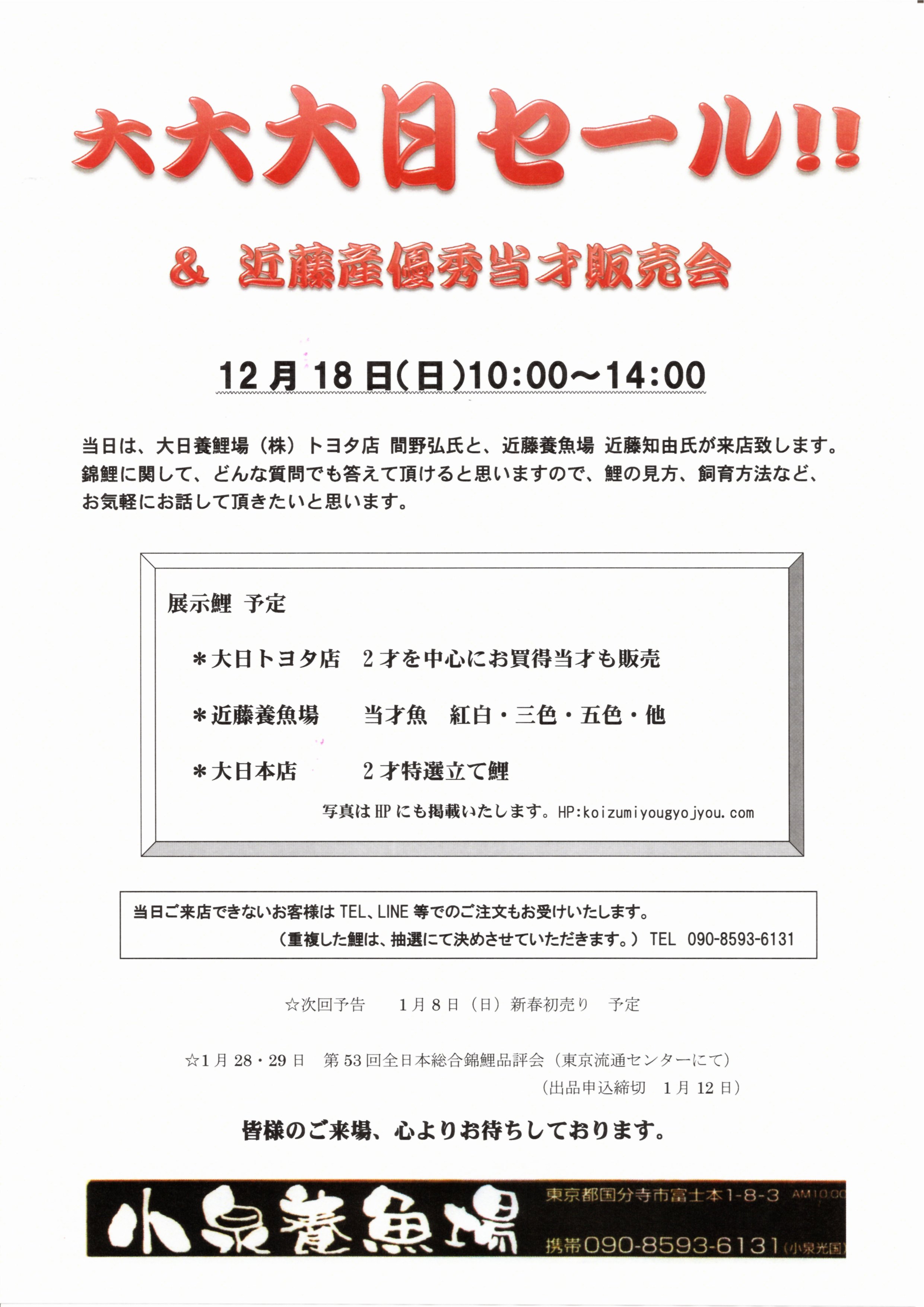 大大大日セール＆近藤産優秀当才販売会 | 小泉養魚場