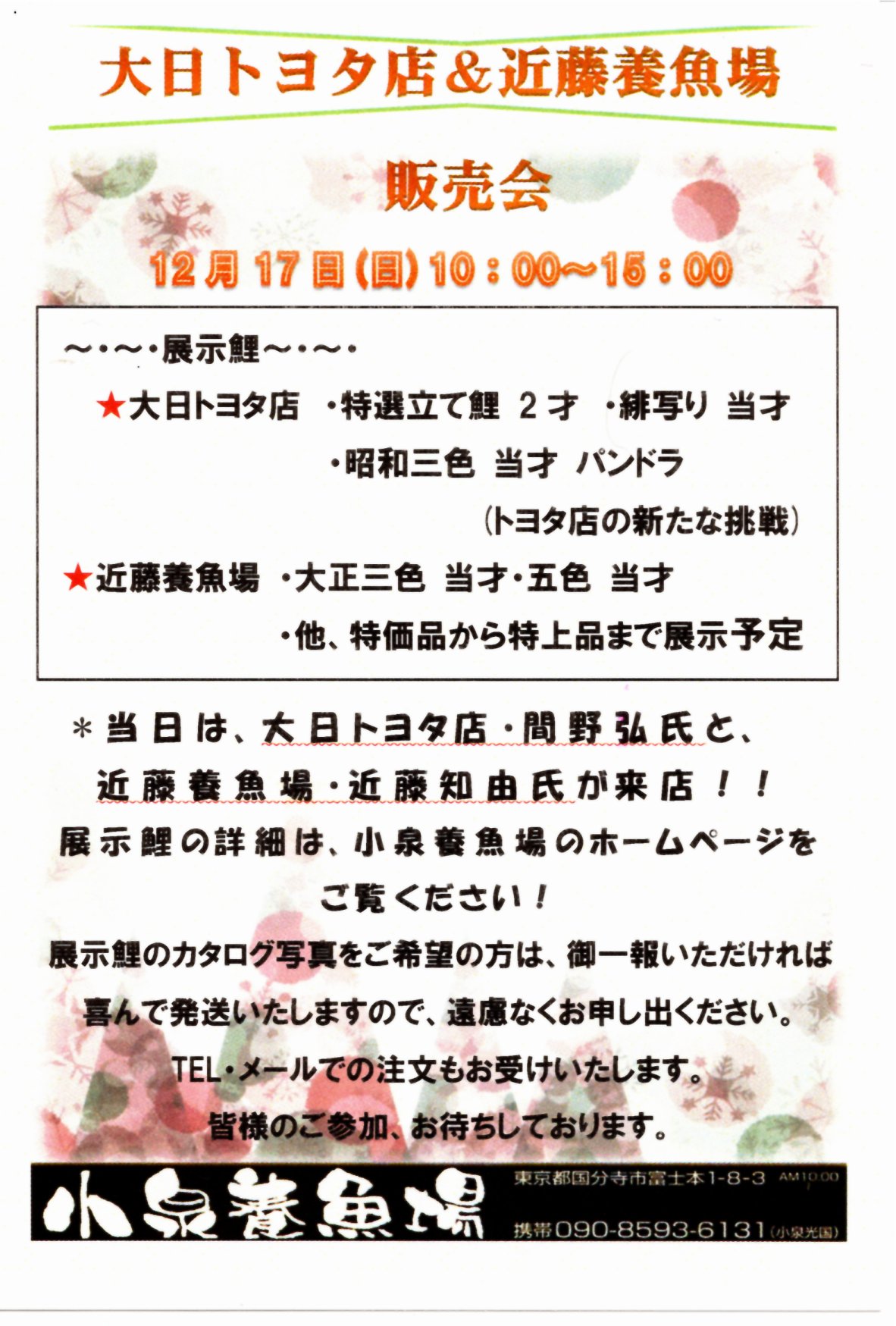 １２月１７日（日）大日トヨタ店＆近藤養魚場販売会 | 小泉養魚場